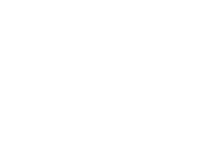 World Trade Securities Logo